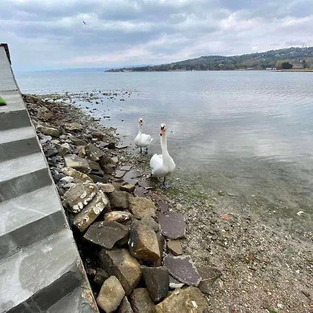 Olga - Unique House With Private *