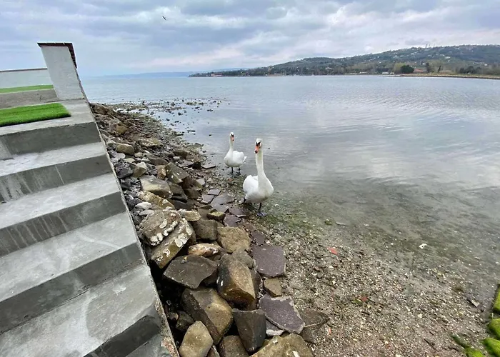 Olga - Unique House With Private *